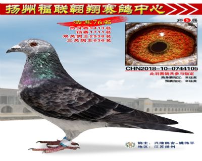 福联翱翔决赛76名
