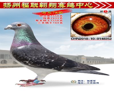 福联翱翔决赛78名