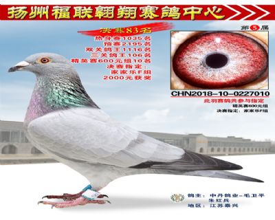 福联翱翔决赛83名