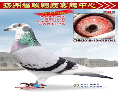 福联翱翔决赛93名