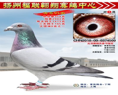 福联翱翔决赛95名
