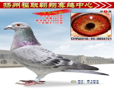 福联翱翔决赛96名