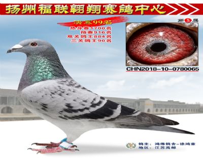 福联翱翔决赛99名