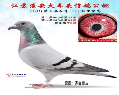 淮安火车头公棚决赛17名