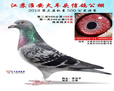 淮安火车头公棚决赛100名