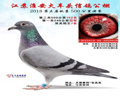 淮安火车头公棚决赛152名
