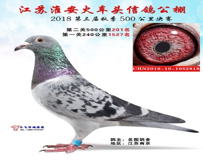 淮安火车头公棚决赛201名