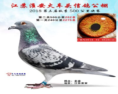 淮安火车头公棚决赛202名
