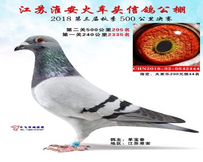 淮安火车头公棚决赛205名