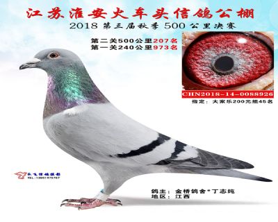 淮安火车头公棚决赛207名