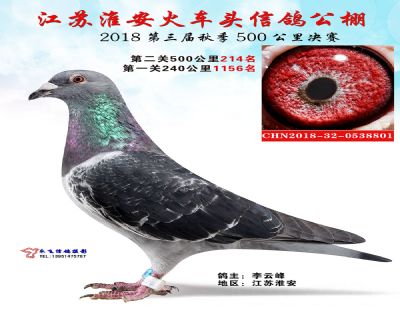 淮安火车头公棚决赛214名