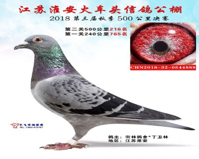 淮安火车头公棚决赛216名