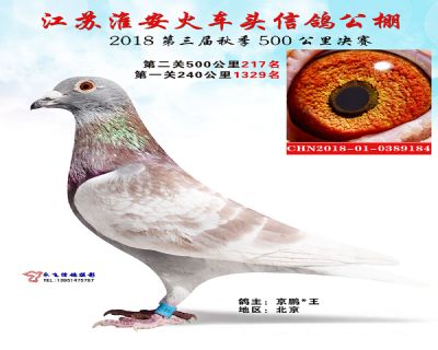 淮安火车头公棚决赛217名