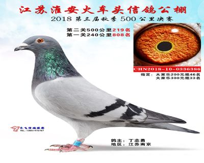 淮安火车头公棚决赛219名