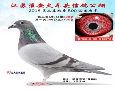 淮安火车头公棚决赛220名