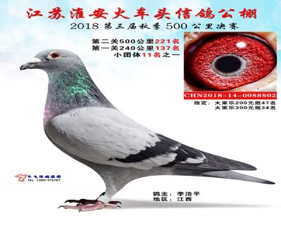 淮安火车头公棚决赛221名