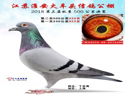 淮安火车头公棚决赛224名