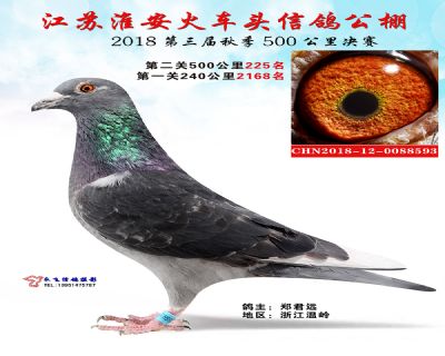 淮安火车头公棚决赛225名