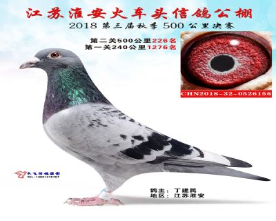 淮安火车头公棚决赛226名