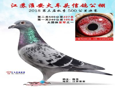 淮安火车头公棚决赛227名