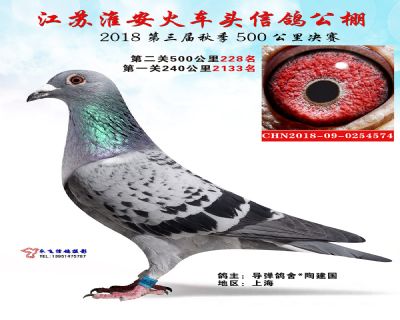 淮安火车头公棚决赛228名