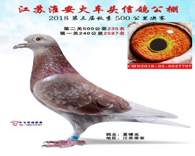 淮安火车头公棚决赛235名