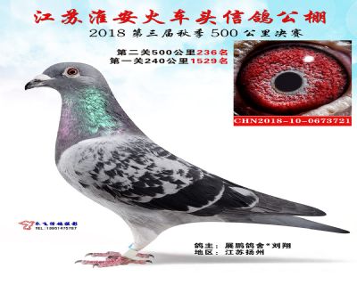 淮安火车头公棚决赛236名