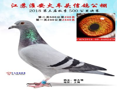 淮安火车头公棚决赛240名