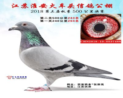淮安火车头公棚决赛243名