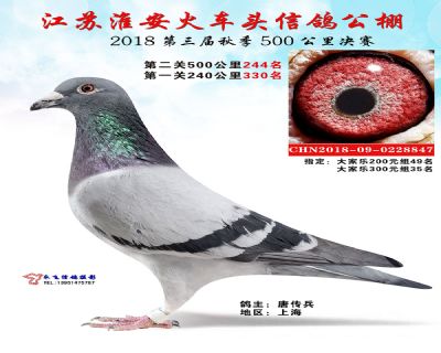 淮安火车头公棚决赛244名