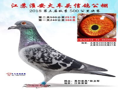 淮安火车头公棚决赛251名