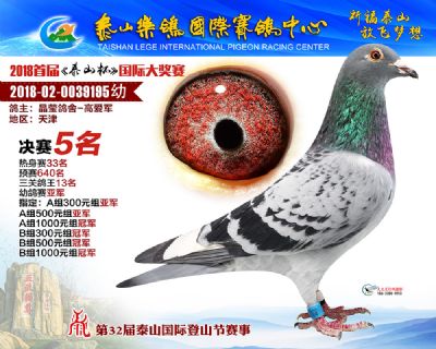 泰山乐鸽决赛5名