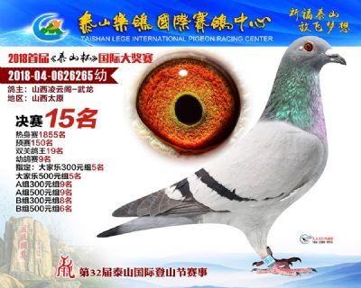 泰山乐鸽决赛15名