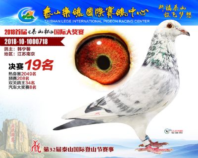 泰山乐鸽决赛19名