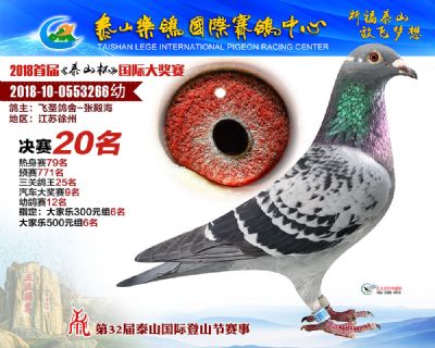 泰山乐鸽决赛20名