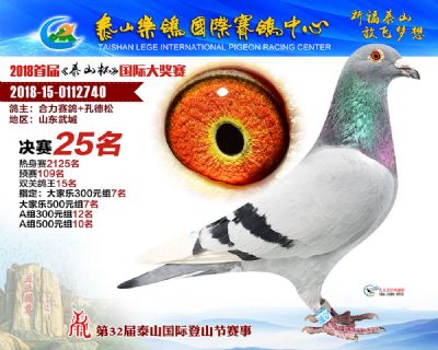 泰山乐鸽决赛25名