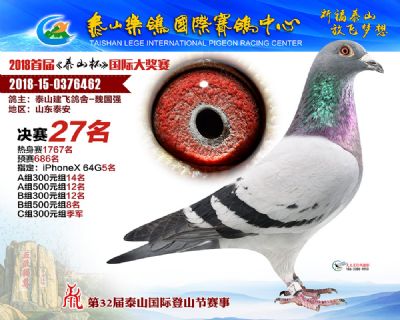 泰山乐鸽决赛27名