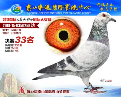 泰山乐鸽决赛33名