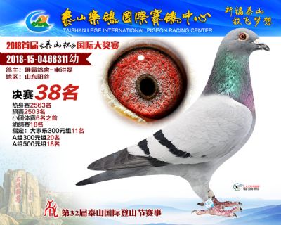 泰山乐鸽决赛38名