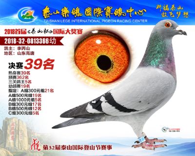 泰山乐鸽决赛39名
