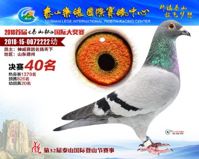 泰山乐鸽决赛40名