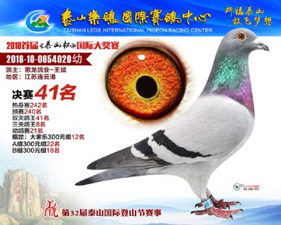 泰山乐鸽决赛41名