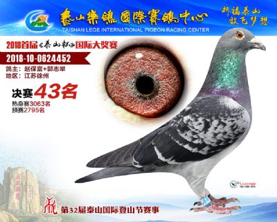 泰山乐鸽决赛43名