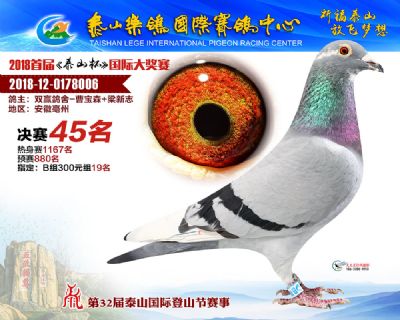 泰山乐鸽决赛45名