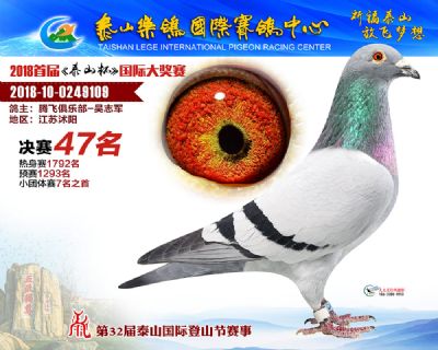 泰山乐鸽决赛47名