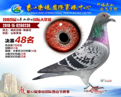 泰山乐鸽决赛48名