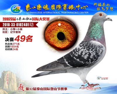 泰山乐鸽决赛49名