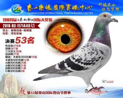 泰山乐鸽决赛53名