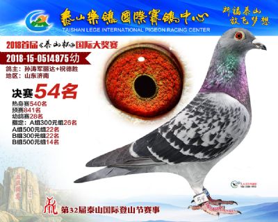 泰山乐鸽决赛54名