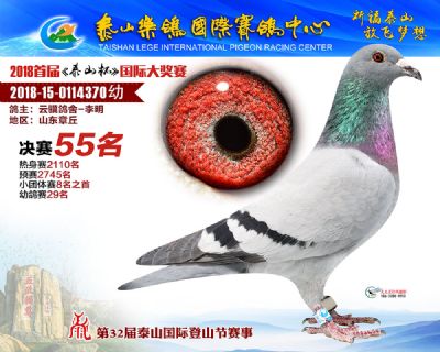 泰山乐鸽决赛55名